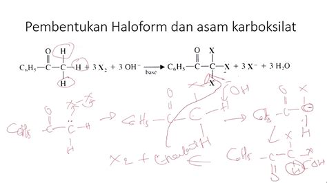 Video 5 haloform 2 - YouTube