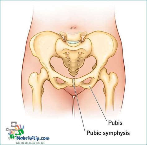 Mons Pubis Pain Causes Symptoms and Treatment [Updated July 2024 ...