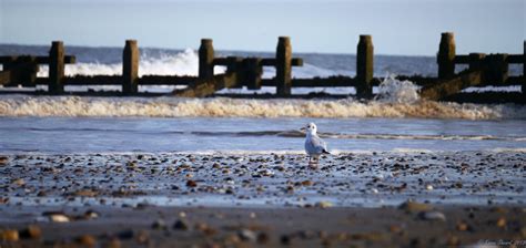 Hornsea beach. | Beach, Natural landmarks, Seascape