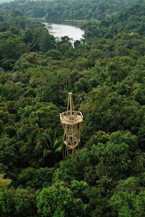 Panama Rainforest Discovery Center / ENSITU | ArchDaily