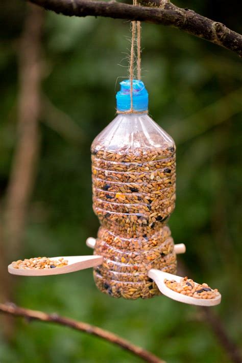 20 Easy DIY Bird Feeders That Anyone Can Make