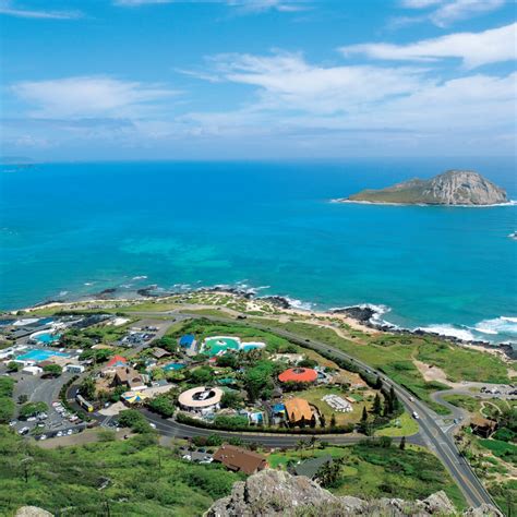 Sea Life Park on Oahu: an Exclusive Interview | Hawaii Travel with Kids