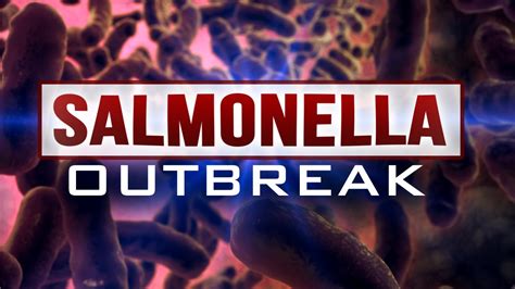 1 dead, 164 sickened due to salmonella outbreak linked to raw turkey