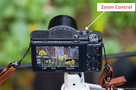 How to Use a Point and Shoot Camera - A Detailed Guide to Compact ...