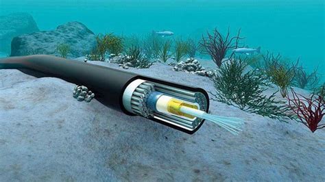 Submarine Communication Cable: Global Data Connectivity - Daffodil ...