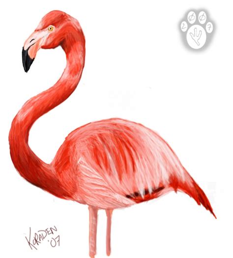 Flamingo Heart Tattoo - ClipArt Best