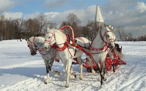 Nothing shouts Russia in winter like a troika and sleigh – Russia – Discover the Unknown