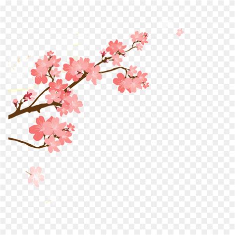 Sakura Png, Vector, Free Download On Heypik - Japanese Cherry Blossom ...