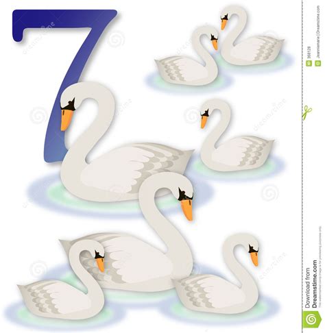 Illustration about A family of seven swimming swans. Part 7 of the 12 Days of Christmas ...