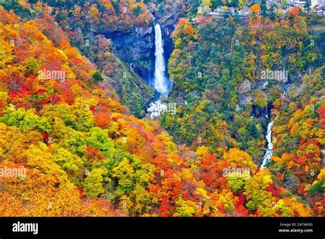 Tochichi hi-res stock photography and images - Alamy