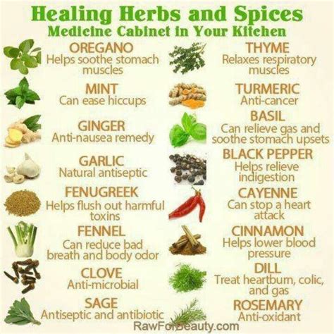 Healing Herbs and Spices. | Read | Pinterest