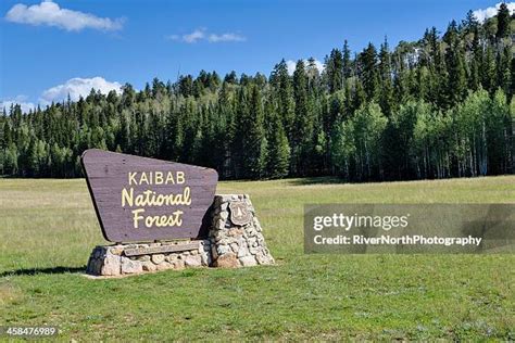 183 Kaibab National Forest Stock Photos, High-Res Pictures, and Images - Getty Images