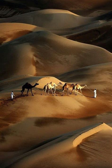 17 Best images about Kalahari Desert on Pinterest | Namib desert, Quiver and Deserts