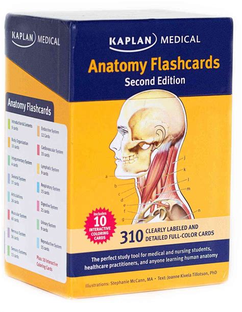 Anatomy Flashcards (Cards) | Overstock.com Shopping - The Best Deals on Medical | Anatomy ...