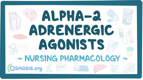 Alpha-2 adrenergic agonists: Nursing pharmacology: Video, Causes, & Meaning | Osmosis