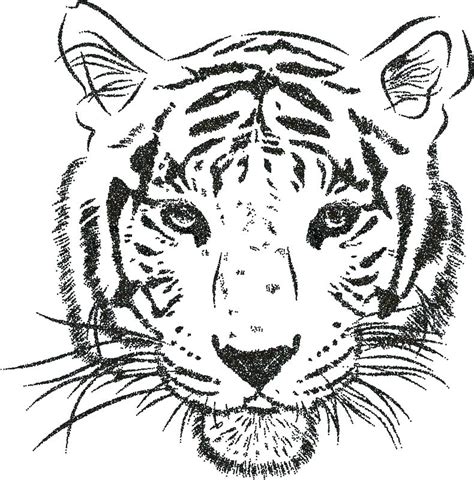 Realistic Tiger Face Coloring Pages - Tiger Face Coloring Page ...