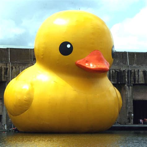 Splash! Giant Rubber Ducky!