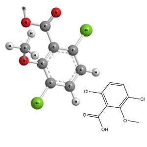 Teratogenicity Testing Methods Ppt