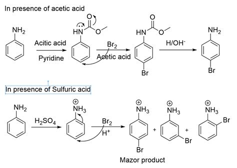 [Solved] 4. The reactivities of phenol and aniline toward bromination ...