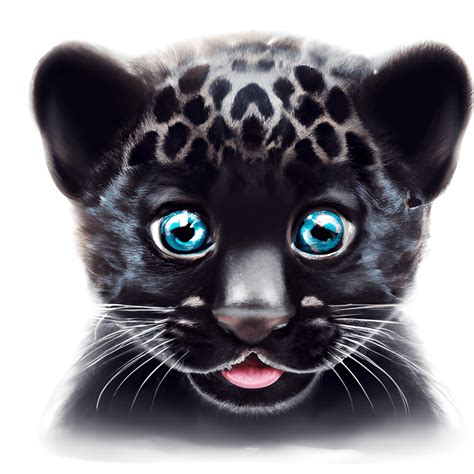 Black Jaguar Drawing