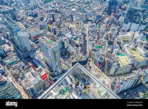 Shibuya Sky observation deck (Shibuya-ku, Tokyo Stock Photo - Alamy