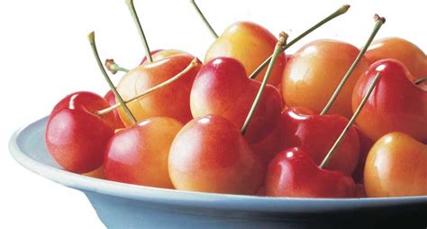 New cherry varieties wanted urgently – Good Fruit Grower