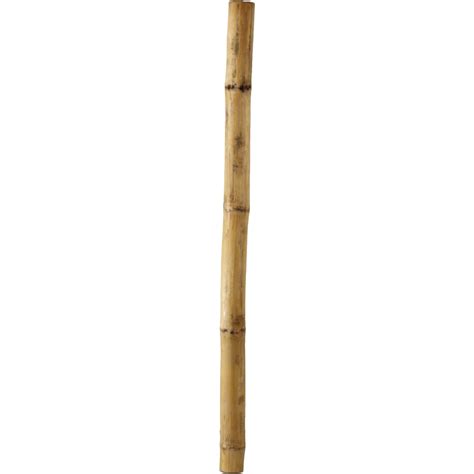 Bamboo Stick PNG Image | PNG All