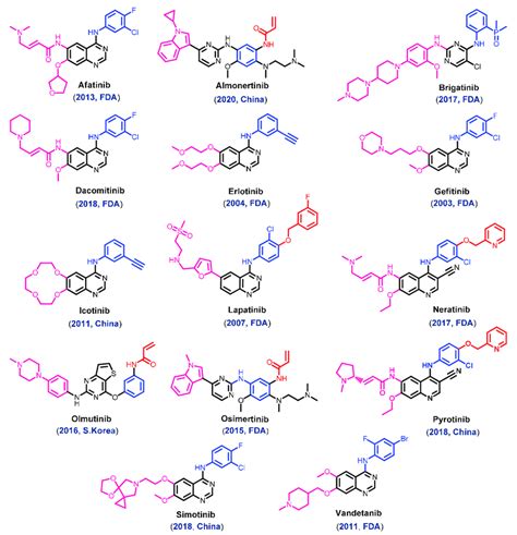 Chemical structure of the approved EGFR inhibitors. | Download Scientific Diagram