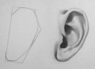 How to Draw an Ear (5 Easy Steps) | RapidFireArt