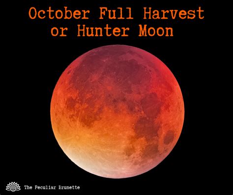 October's Full Harvest or Hunter Moon Spiritual Meaning, Symbolism, and Rituals - Full Buck Moon ...