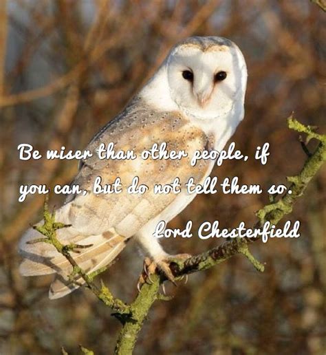 Pin by Mike Coulson on My quotes (With images) | Barn owl, Owl, Birds