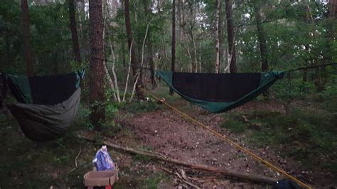 Forest livings here in the netherlands : r/hammockcamping