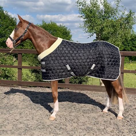 Hexagon stable rug with fleece collar – Equilux Equestrian