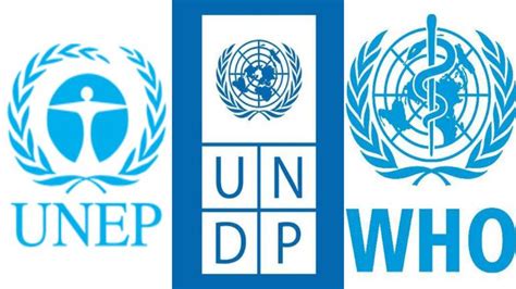 14 important United Nations agencies and their roles - India Today