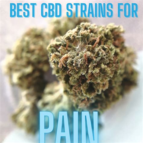 What Is The Best CBD Strain For Pain and Inflammation?