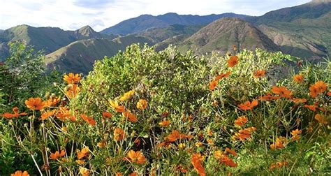 Vilcabamba, Ecuador - Heroes Of Adventure