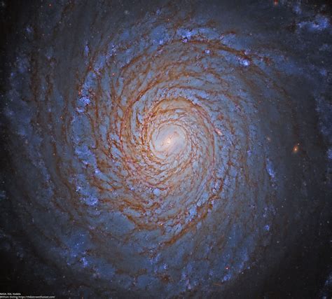 Spiral Galaxy NGC 3147 from Hubble - The Astronomy Enthusiast