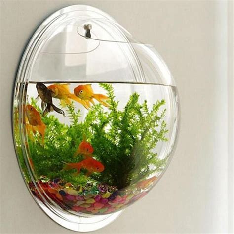 Deluxe Wall Planter | Plant Aquarium | Mini aquarium, Fish tank, Fish bowl