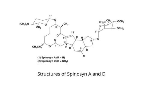 Spinosad Spray: What It Is And Its Uses - Epic Gardening