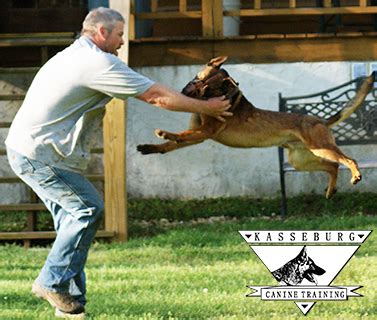 Kasseburg Canine Training | New Market, Alabama