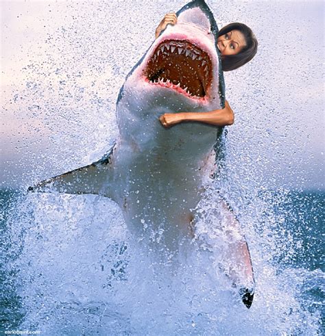 Hawaiian Authorities Alarmed By Recent Increase In Shark Attacks ...