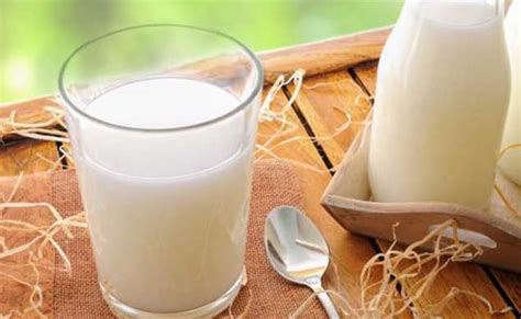 Milk Protein May Help Ease Chemotherapy Side Effects: 5 Benefits Of Milk