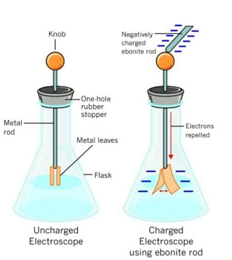 Unveiling the Secrets: Electroscope Lab Answers Revealed