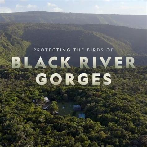 Protecting the Birds of Black River Gorges