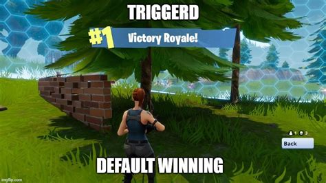 Image tagged in fortnight victory royale,fortnite,victory baby - Imgflip