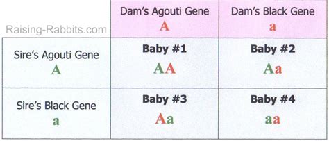 Gene Chart