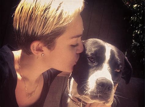 Miley Cyrus from Celebrity Pets: Miley Cyrus' Puppy, Taylor Swift's Cat & More | E! News