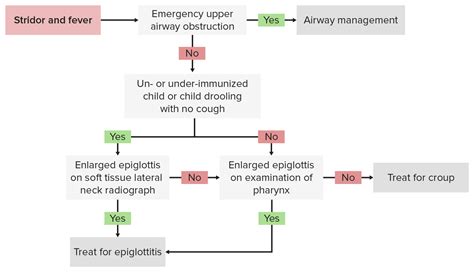 Epiglottitis | Concise Medical Knowledge