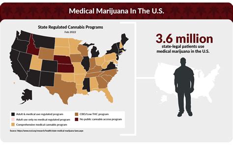 Medical Marijuana Statistics - Surprising Insights Revealed | King Harvest