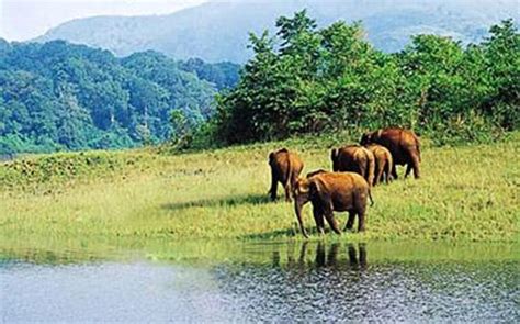 Aralam wildlife sanctuary (Kannur) - Top Tips Before You Go - TripAdvisor